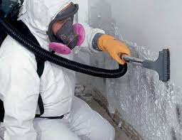 Professional Mold Inspection in Gretna, LA